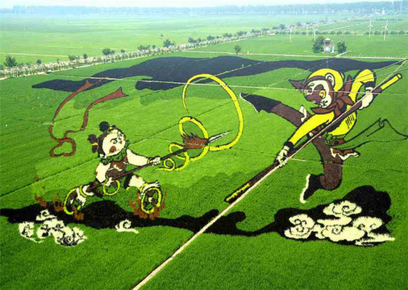 Paddy Field Art Celebrates National Land Day